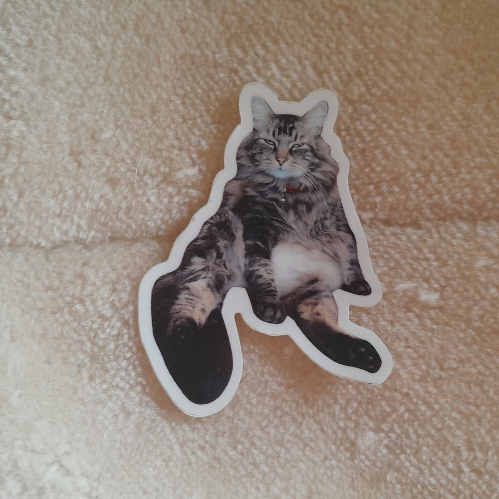 Cat Sticker Bundle - Picture 3 of 3